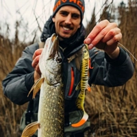 Savage Gear 3D Hybrid Pike 17cm/47g